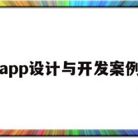 app设计与开发案例(app设计与开发实训心得)