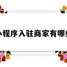 小程序入驻商家有哪些(入驻小程序有什么效果)