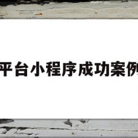 平台小程序成功案例(小程序 案例)