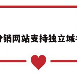 包含分销网站支持独立域名的词条
