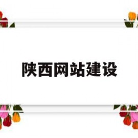陕西网站建设(陕西网站建设策划内容)