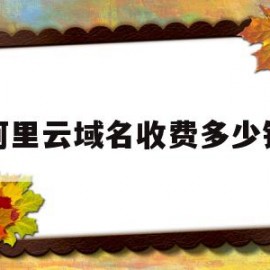 阿里云域名收费多少钱(阿里云域名收费多少钱啊)