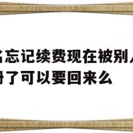域名忘记续费现在被别人抢注册了可以要回来么的简单介绍