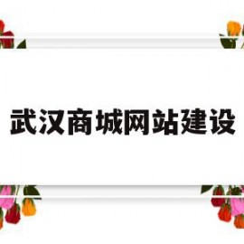 武汉商城网站建设(武汉商城小程序开发)