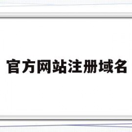 官方网站注册域名(官方网站注册域名怎么填)