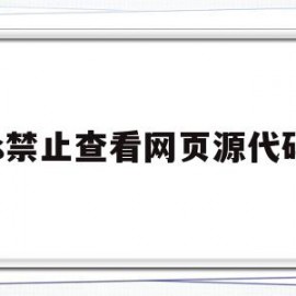 js禁止查看网页源代码(怎么禁止js访问cookie)