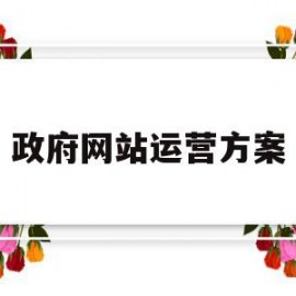 政府网站运营方案(政府网站运营方案范文)