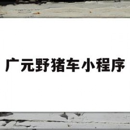 广元野猪车小程序(南部到广元的野猪儿)