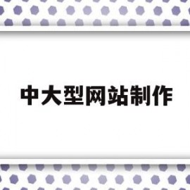 中大型网站制作(网站制作公司排行榜)