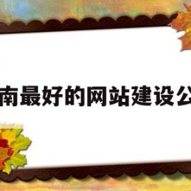 苍南最好的网站建设公司(苍南最好的网站建设公司排名)