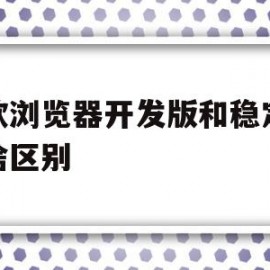 谷歌浏览器开发版和稳定版有啥区别(谷歌浏览器开发工具详解)