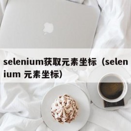 selenium获取元素坐标（selenium 元素坐标）