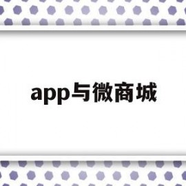 app与微商城(下载微商城APP)