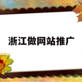 浙江做网站推广(浙江做网站推广怎么样)