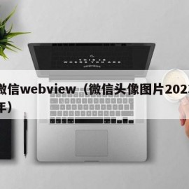 微信webview（微信头像图片2023年）