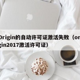 Origin的自动许可证激活失败（origin2017激活许可证）