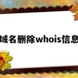 域名删除whois信息(域名删除时间查询站长工具)