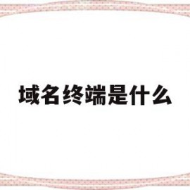 域名终端是什么(域名终端是什么意思)