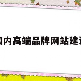 国内高端品牌网站建设(国内高端汽车品牌排行榜)