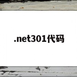 .net301代码(net core 代码)