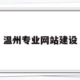 温州专业网站建设(温州网站建设解决方案)