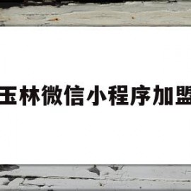 玉林微信小程序加盟(玉林微信小程序加盟电话)