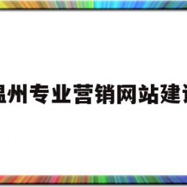 温州专业营销网站建设(温州瓯海区营销型网站建设)