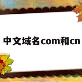 中文域名com和cn(中文域名网址和com的区别)