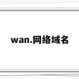 wan.网络域名(wang域名怎么样)