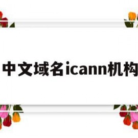 关于中文域名icann机构的信息