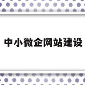 中小微企网站建设(中小微企业服务平台)