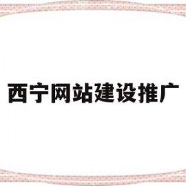 西宁网站建设推广(西宁企业网络推广方案)