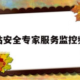 网站安全专家服务监控频率(网站安全专家服务监控频率要求)