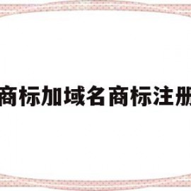 商标加域名商标注册(商标注册网站域名加com)
