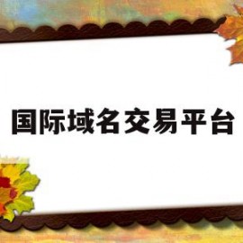 国际域名交易平台(国际域名交易平台app)