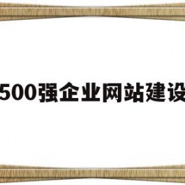 500强企业网站建设(500强企业网站建设方案)