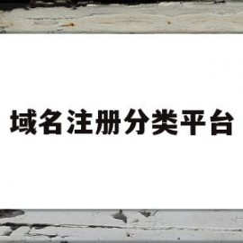 域名注册分类平台(域名注册分类平台是什么)