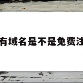 所有域名是不是免费注册(域名注册是免费的吗)