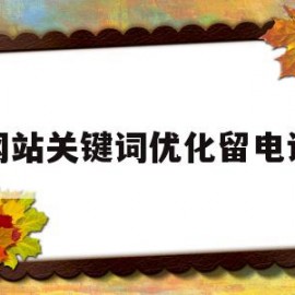 网站关键词优化留电话(如何进行网站关键词优化)