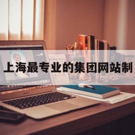 上海最专业的集团网站制(上海最专业的集团网站制作公司)