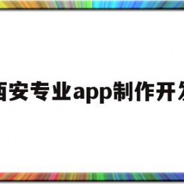 西安专业app制作开发(西安app开发公司哪个好)