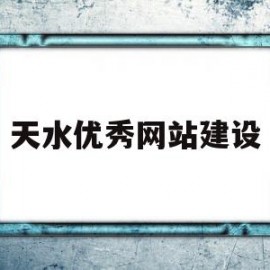 天水优秀网站建设(天水网络理政中心)