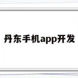 丹东手机app开发(丹东手机app开发公司)