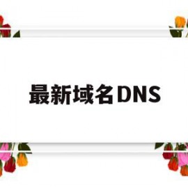最新域名DNS(最新域名ip查询)