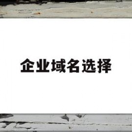 企业域名选择(企业域名是啥意思)
