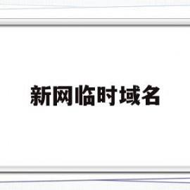 新网临时域名(新网临时域名怎么注册)