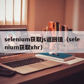 selenium获取js返回值（selenium获取xhr）