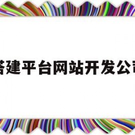 搭建平台网站开发公司(网站建设公司开发)