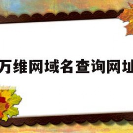 万维网域名查询网址(万维网域名查询网址是多少)