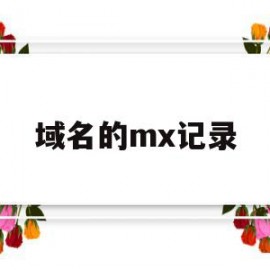 域名的mx记录(在线查询域名mx记录)